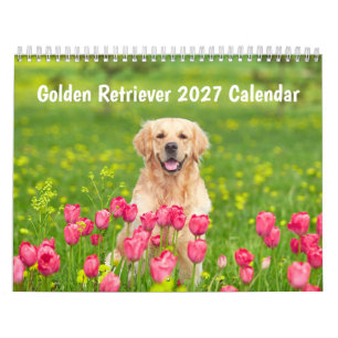 Calendario de Golden retriever 2027