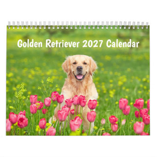 Calendario de Golden retriever 2027