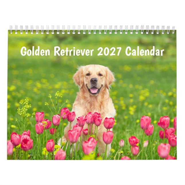 Calendario de Golden retriever 2027 (Tapa)