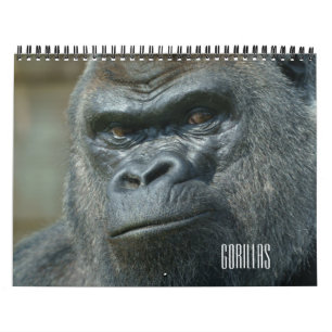 Calendario de gorilas