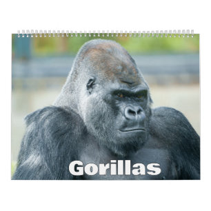 Calendario de gorilas de 2026