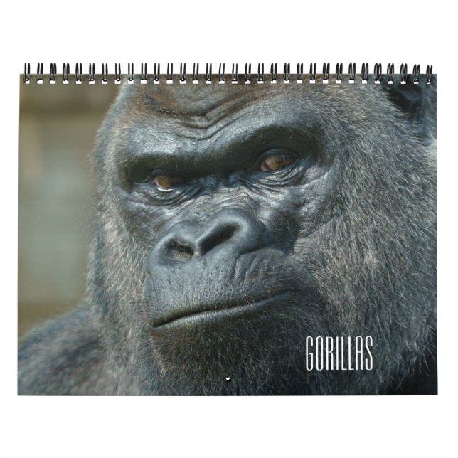 Calendario de gorilas de 2026 (Tapa)