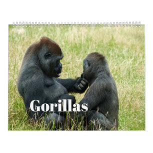 Calendario de gorilas de 2026