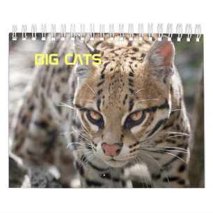 Calendario de Grandes Felinos