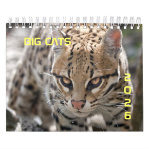 Calendario de grandes gatos
