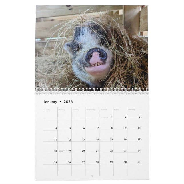 Calendario de granja de paz (Jan 2026)