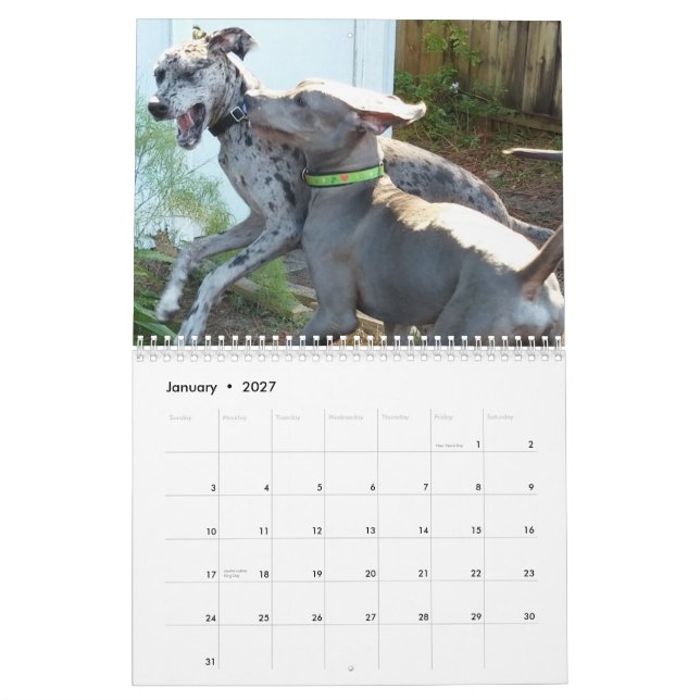 Calendario de great dane "que se relaja alrededor (Jan 2027)