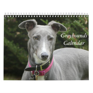 Calendario de Greyhound 2025