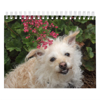Calendario de Gwendolyn 2015