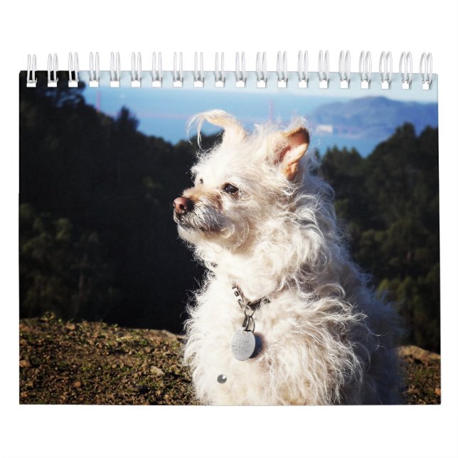 Calendario de Gwendolyn 2016 (Tapa)