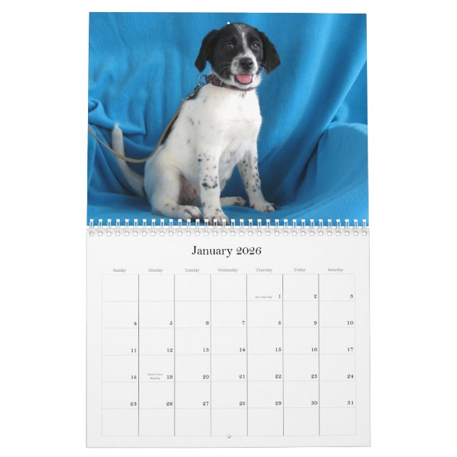 Calendario De Harlan a las manos seguras (Jan 2026)