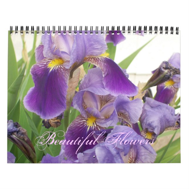 Calendario de hermosas flores (Tapa)