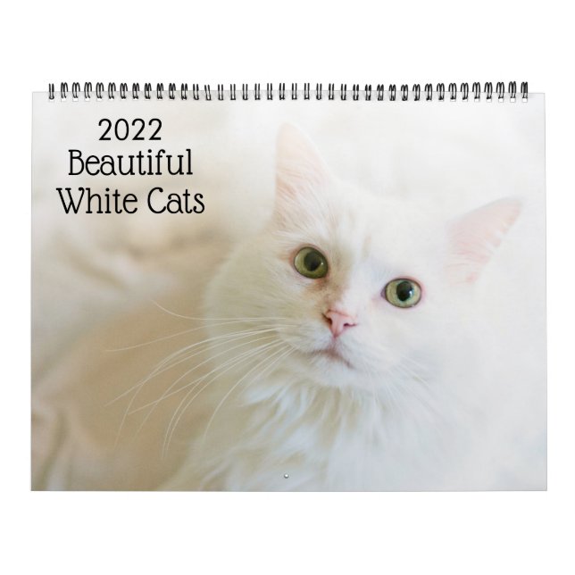 Calendario de hermosos gatos blancos 2022 (Tapa)