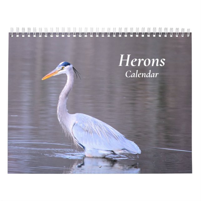 Calendario de Herons (Tapa)