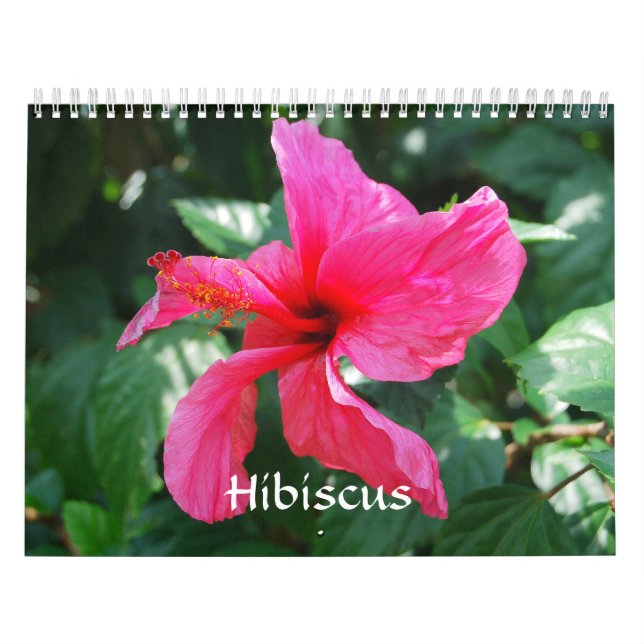 Calendario de Hibiscus (Tapa)