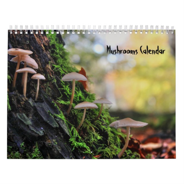 Calendario de hongos (Tapa)