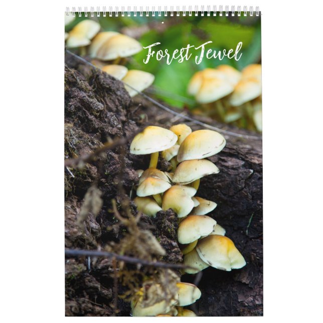 Calendario de Hongos del Bosque (Tapa)
