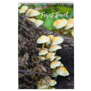 Calendario de Hongos del Bosque