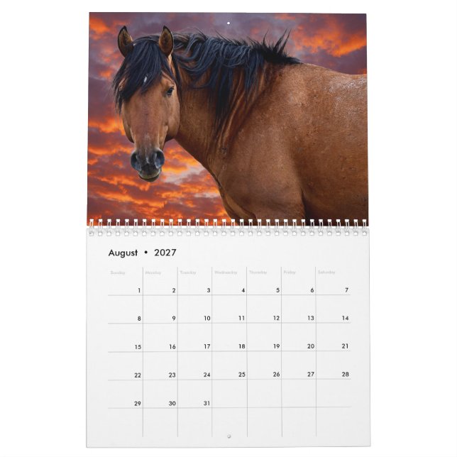Calendario de HOrse salvaje 2022 (Aug 2027)