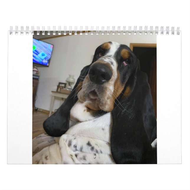 Calendario de Hound de base (Tapa)