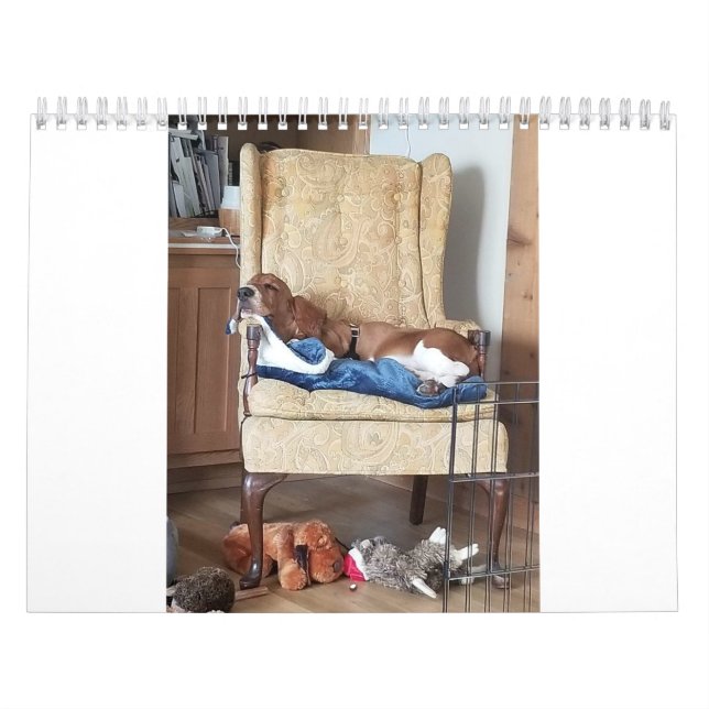 Calendario de hound de base 24 meses (Tapa)
