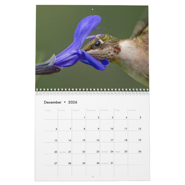 Calendario de Hummingbird con imágenes únicas (Dec 2026)