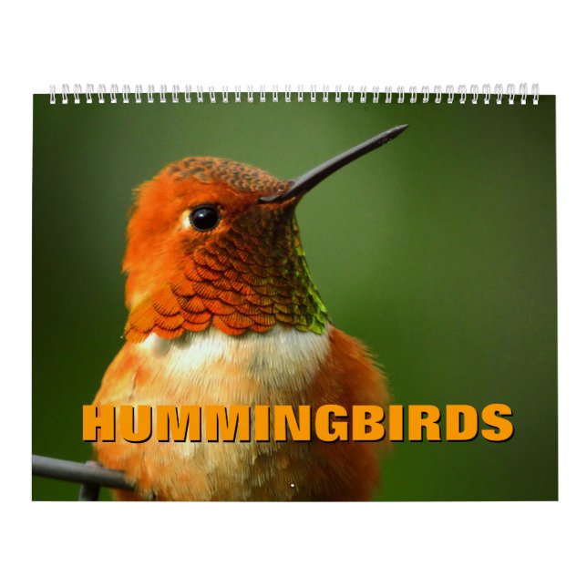 Calendario de Hummingbirds (Tapa)
