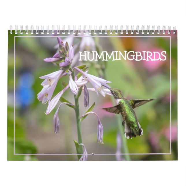 Calendario de Hummingbirds (Tapa)