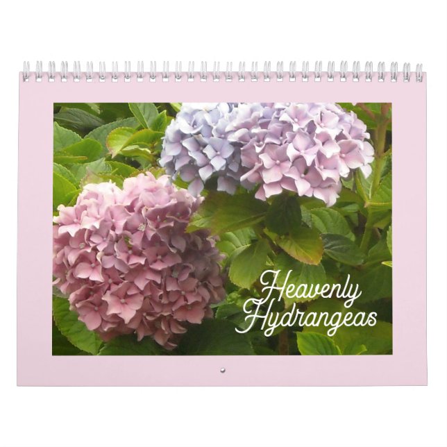 Calendario de Hydrangeas Celestiales (Tapa)