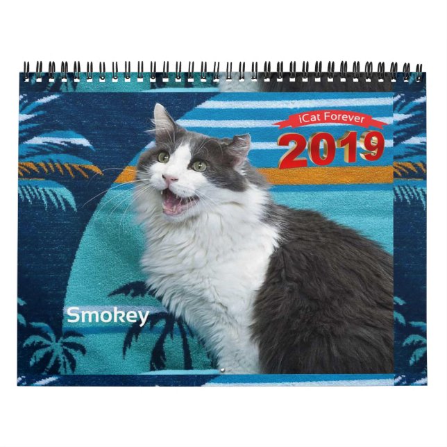 Calendario de iCat para siempre 2019 (Tapa)