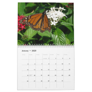 Calendario de IMÁGENES WKS