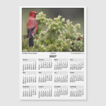 Calendario de imán 5x7 de 2027 Apapane Ave Hawaian