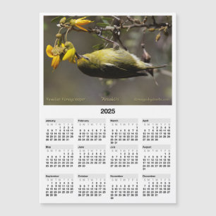 Calendario de imanes 2025 5x7 Ave de Hawái Amakihi