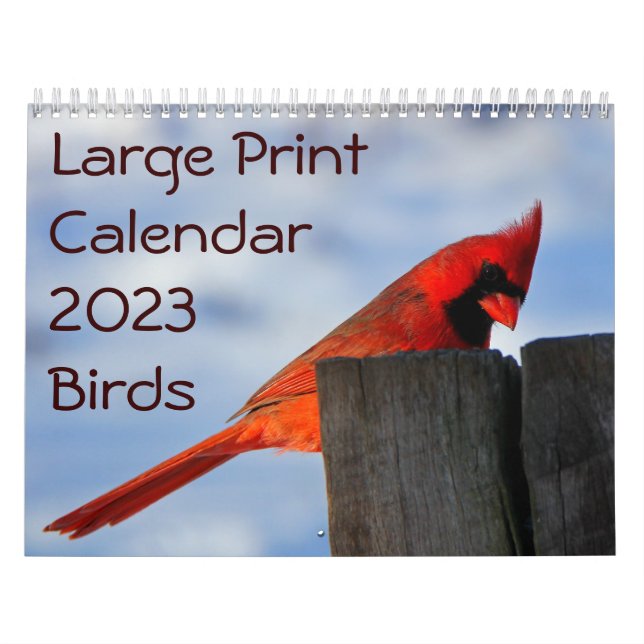 Calendario de impresión grande 2023 - Aves (Tapa)