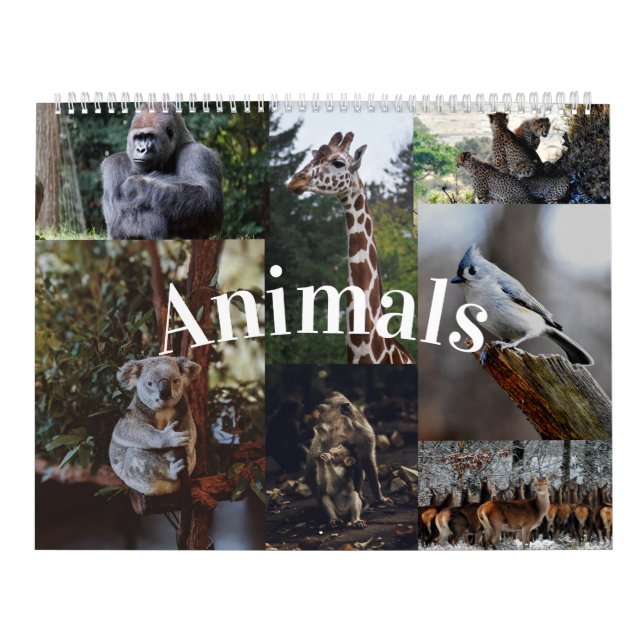 Calendario de inicio/oficina para animales (Tapa)