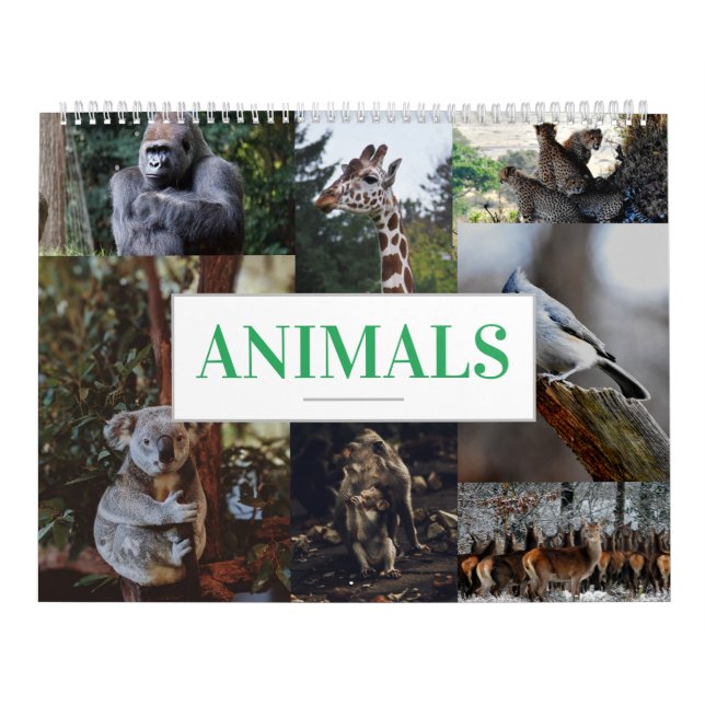 Calendario de inicio/oficina para animales (Tapa)