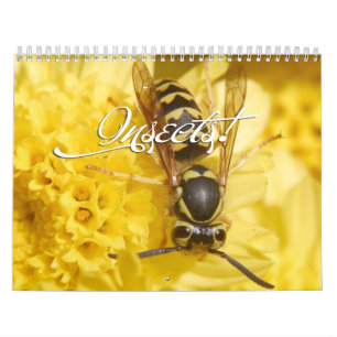 Calendario de insectos 2013