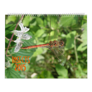 Calendario de Insectos 2015