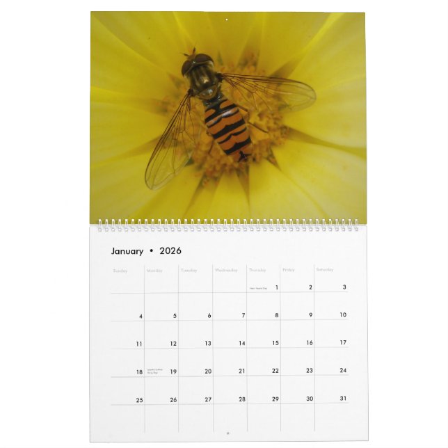 Calendario de Insectos 2015 (Jan 2026)