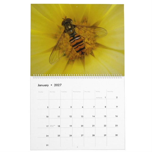 Calendario de Insectos 2015 (Jan 2027)