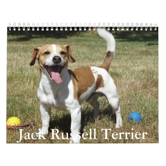 Calendario de Jack Russell Terrier (Tapa)