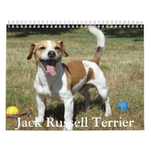 Calendario de Jack Russell Terrier