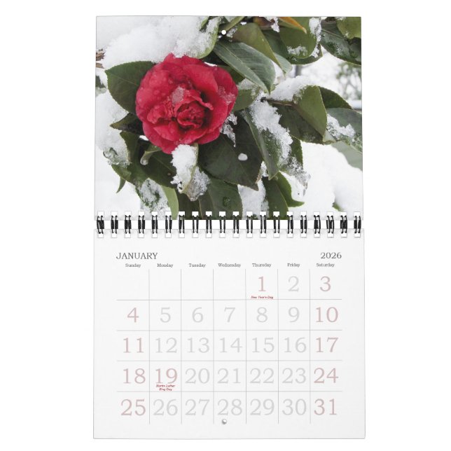 Calendario de Jardín 2012 de Janette (Jan 2026)