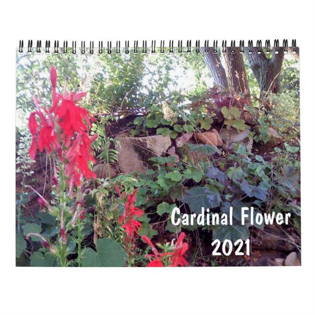 Calendario de Jardín nativo 2021 (Reverso)