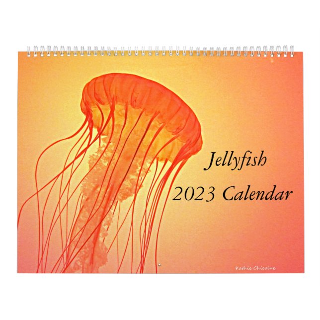 Calendario de Jellyfish 2023 (Tapa)