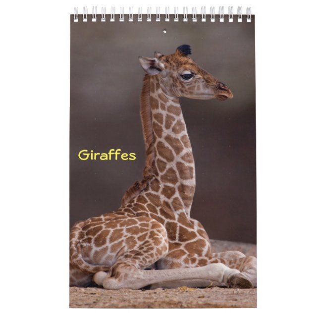 Calendario de Jirafas (Tapa)