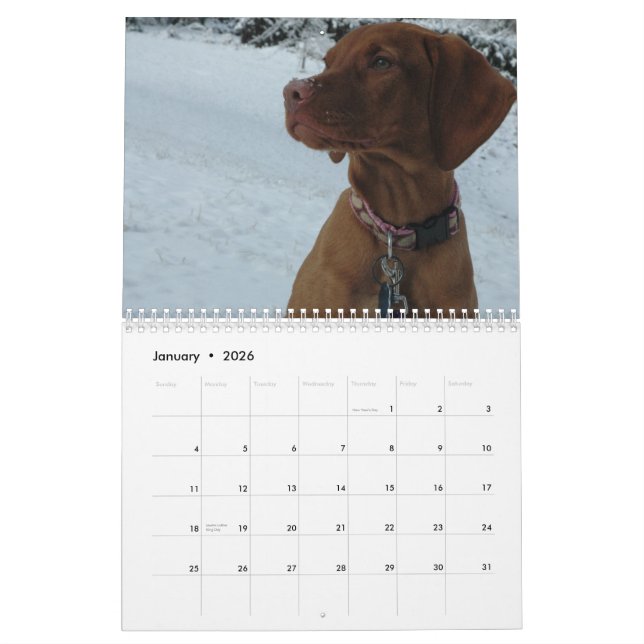Calendario de Katie Vizsla 2012 (Jan 2026)