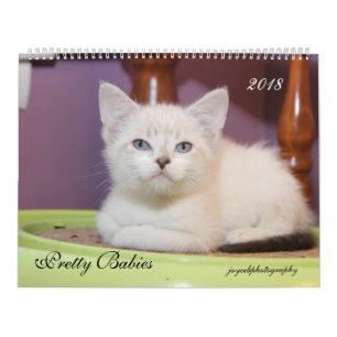 CALENDARIO DE KITTENS 2018