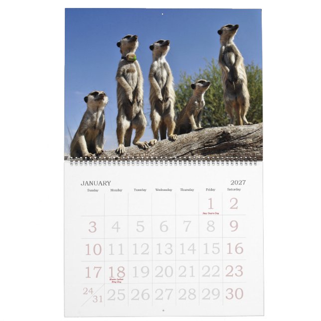 Calendario de KMP Meerkats 2013 (Jan 2027)