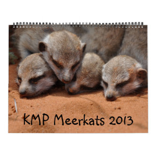 Calendario de KMP Meerkats 2013
